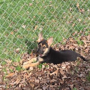 Meet your Posher, Lynn